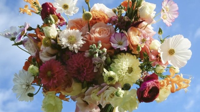 A hand holds a colorful bouquet of mixed flowers against a blue sky, bright and cheerful, framed by fluffy clouds.