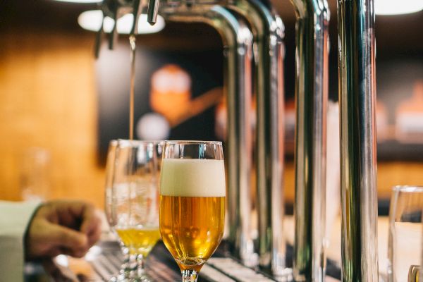 Four draft beer taps with two filled glasses; one with a golden beer, frothy head. Hands resting on counter beneath bright industrial lights.