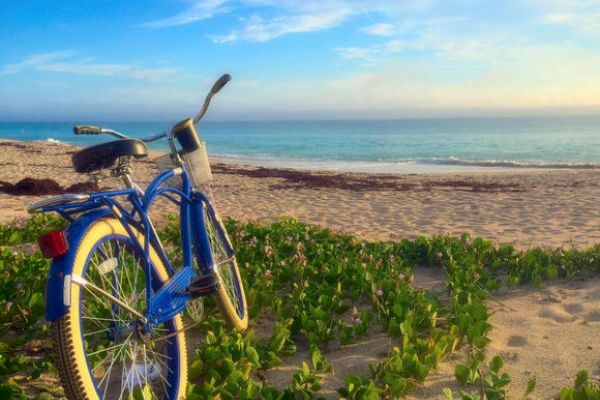 A blue bicycle is parked on a sandy beach with green plants, overlooking a calm sea and a mostly clear sky with some clouds in the distance.