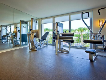 A modern gym with various exercise machines, mirrors on the wall, and large windows overlooking an outdoor view, plenty of natural light.