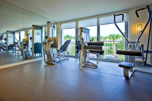 A modern gym with various exercise machines, mirrors on the wall, and large windows overlooking an outdoor view, plenty of natural light.