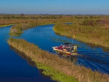 An airboat with passengers is navigating through a winding waterway surrounded by dense marshland under a clear blue sky.
