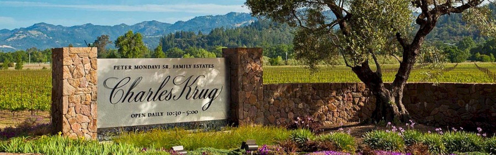 A vineyard estate with a stone sign, large tree, and mountains in the background, indicating a scenic location for Charles Krug Winery.