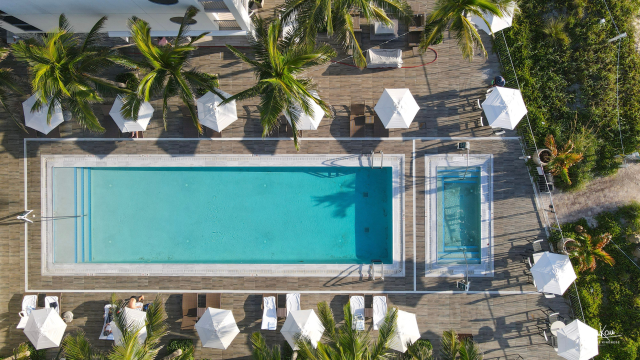 An aerial view of a swimming pool area with white umbrellas, palm trees, lounge chairs, and lush greenery surrounding a wooden deck.