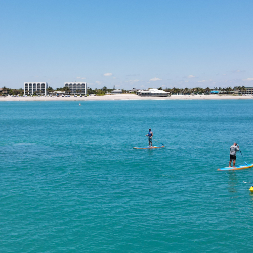 People are paddleboarding and kayaking on a calm, blue sea with buildings and a beach visible in the background.