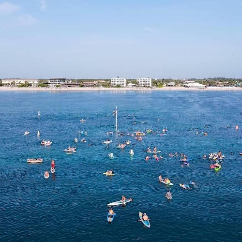People paddleboarding and kayaking on calm blue waters near a beach with buildings and trees in the background.