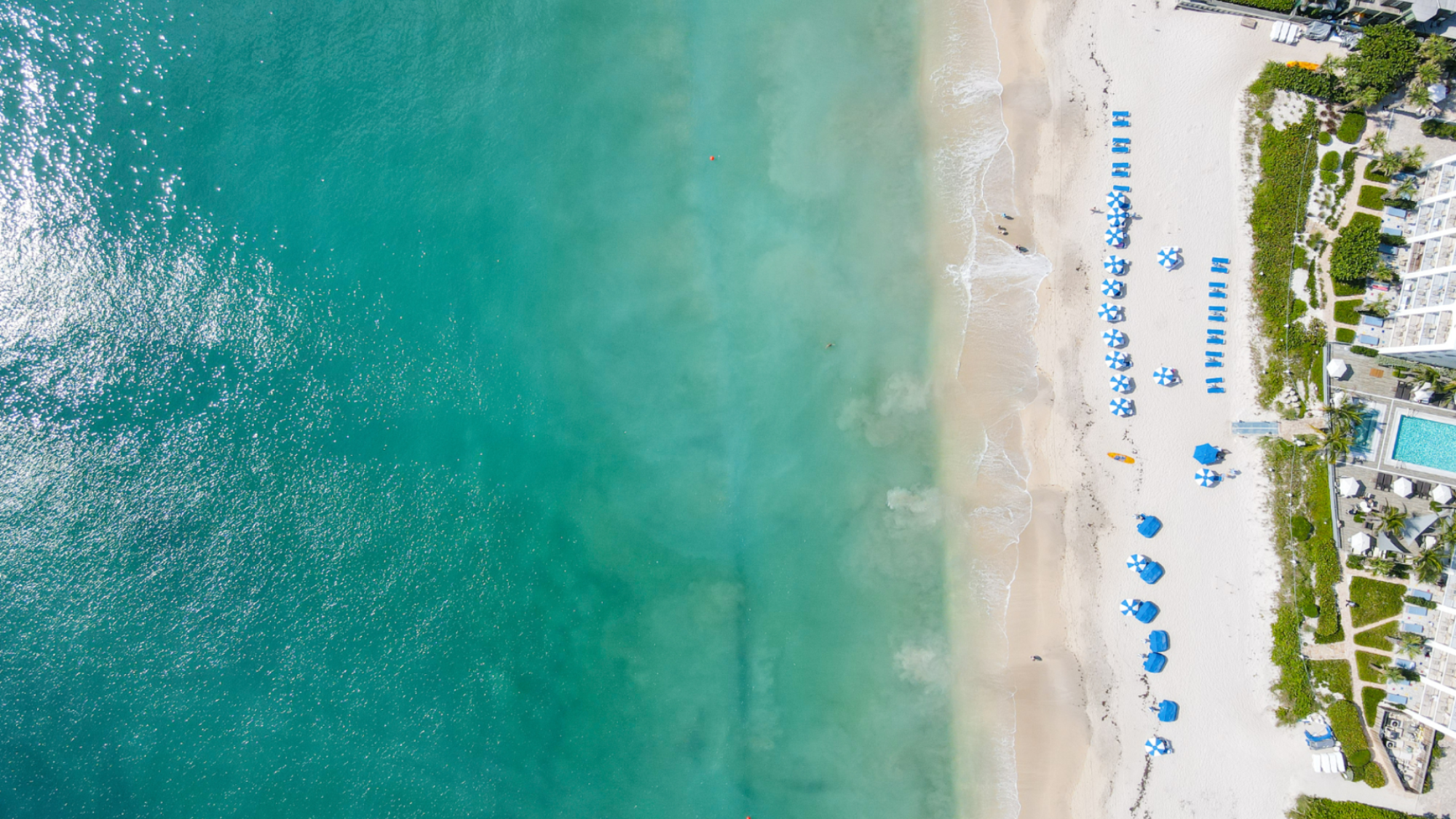 Aerial view of a beach with clear turquoise water, sandy shore, and blue lounge chairs arranged in rows near buildings and a pool area.