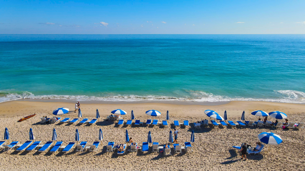 A picturesque beach scene with rows of blue and white umbrellas and lounge chairs on the sand, facing a calm, blue ocean under a clear sky.
