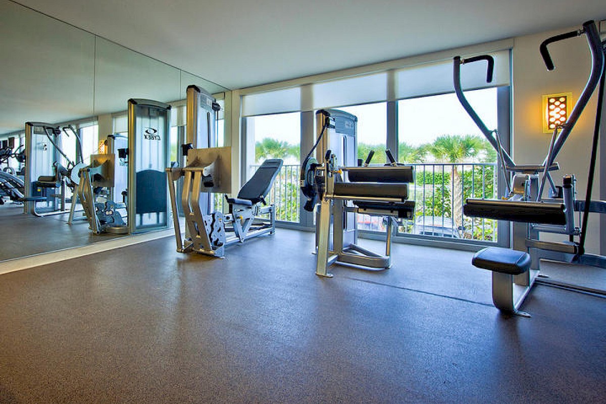 This image shows a bright, modern gym with various exercise machines near large windows overlooking trees and a balcony.
