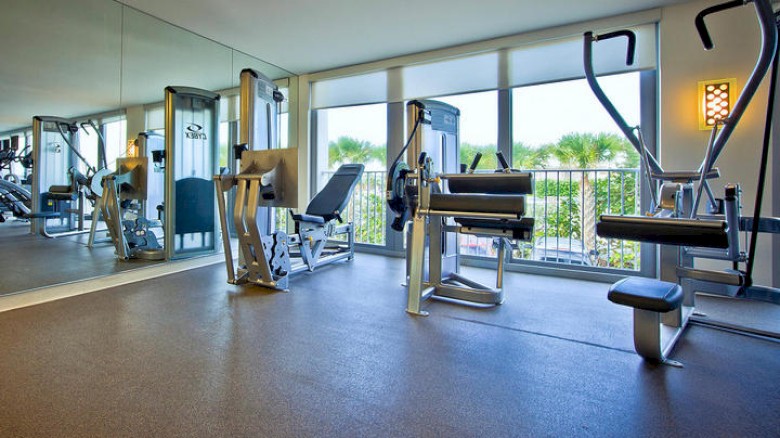 This image shows a bright, modern gym with various exercise machines near large windows overlooking trees and a balcony.