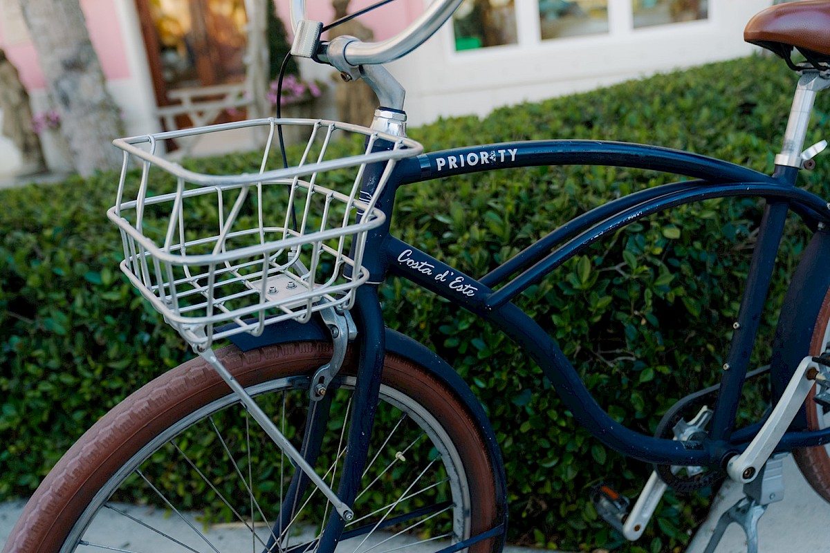 A blue bicycle with a white wire basket parked in front of green bushes and a building with large windows.
