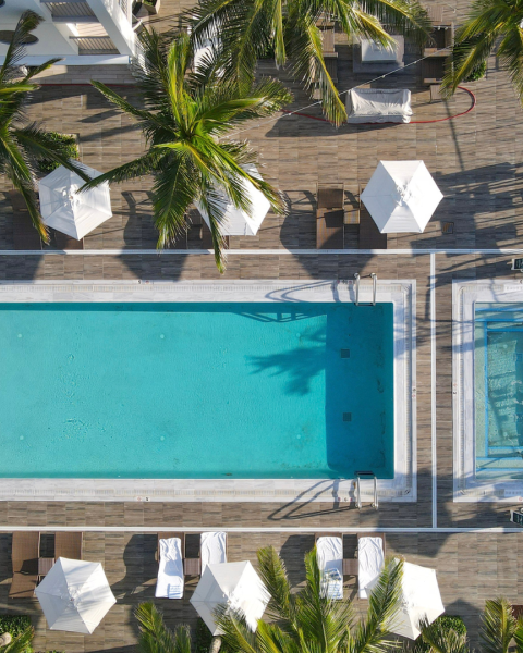 An aerial view of a poolside area with a rectangular swimming pool, surrounded by white umbrellas, palm trees, lounge chairs, and lush greenery.