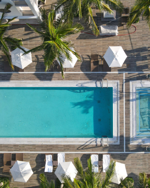 An aerial view of a pool area with lounge chairs, umbrellas, and palm trees surrounding a large rectangular pool and a smaller adjacent pool.