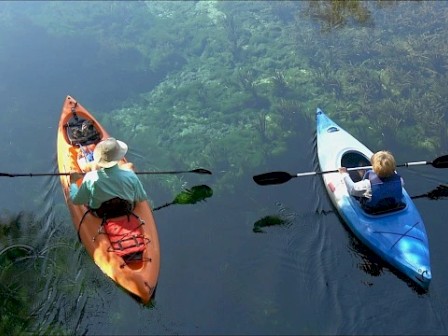 Two children are kayaking on a calm river, surrounded by lush green trees, enjoying a peaceful outdoor adventure.