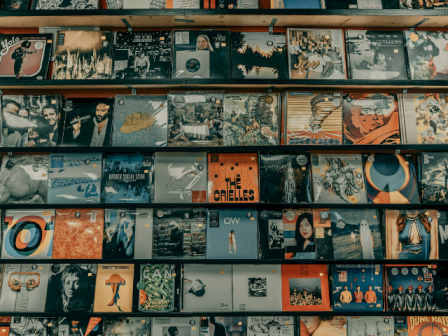 Vinyl records are displayed on shelves, featuring various album covers from different artists and genres in a record store.