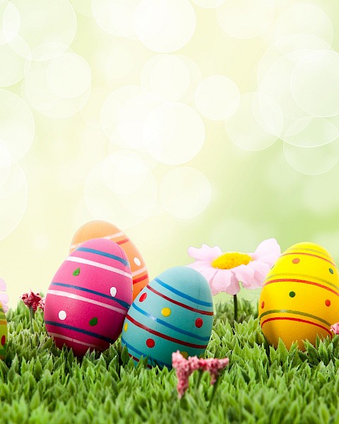 Colorful Easter eggs are placed on grass with flowers, set against a blurred background with bokeh lights.