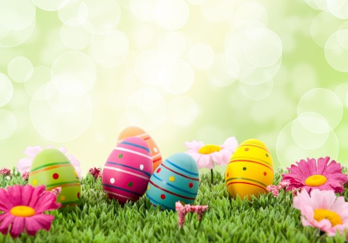Colorful Easter eggs are placed on grass with flowers, set against a blurred background with bokeh lights.