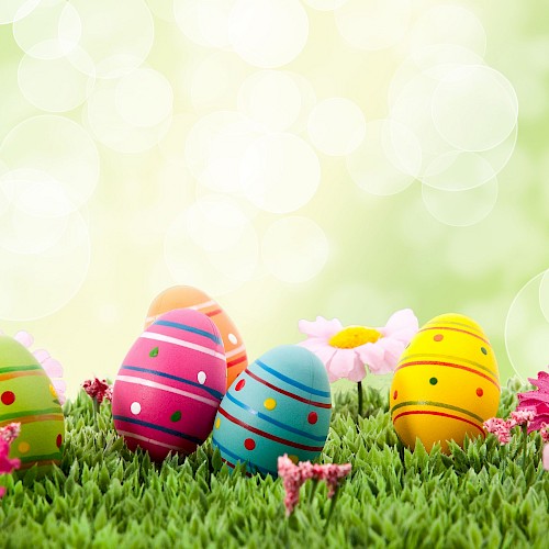 Colorful Easter eggs are placed on grass with flowers, set against a blurred background with bokeh lights.