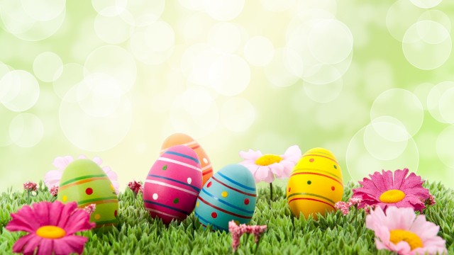 Colorful Easter eggs are placed on grass with flowers, set against a blurred background with bokeh lights.