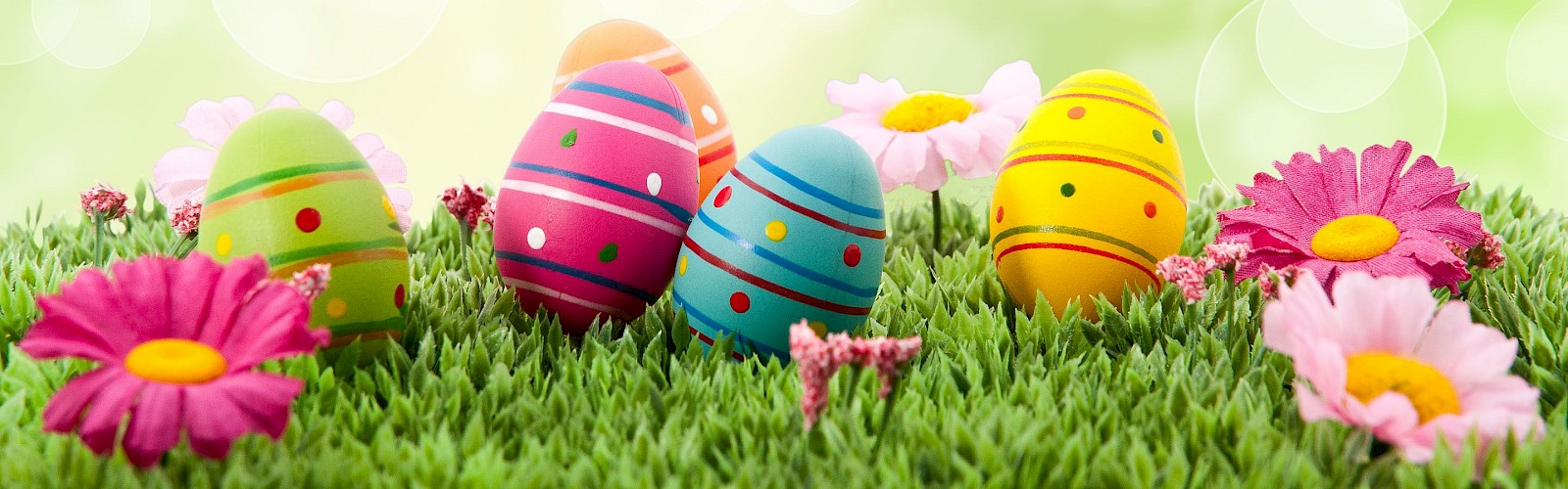 Colorful decorated Easter eggs sit in bright green grass among pink flowers on a sunny, bokeh-filled meadow.