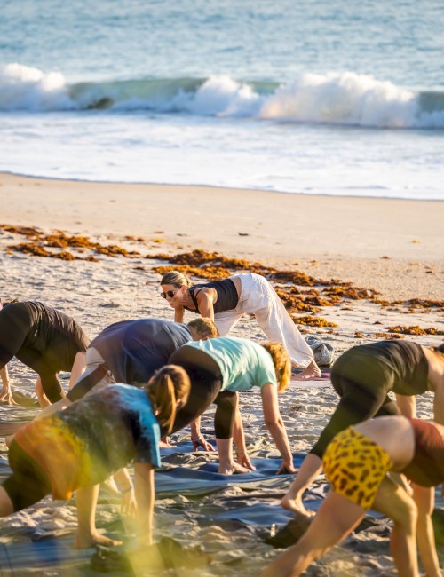 People are practicing yoga on a sandy beach near the ocean, with waves in the background.