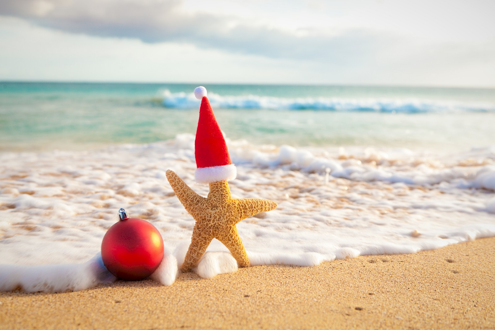 A starfish wearing a Santa hat sits with a red ornament on a sandy beach with ocean waves in the background.