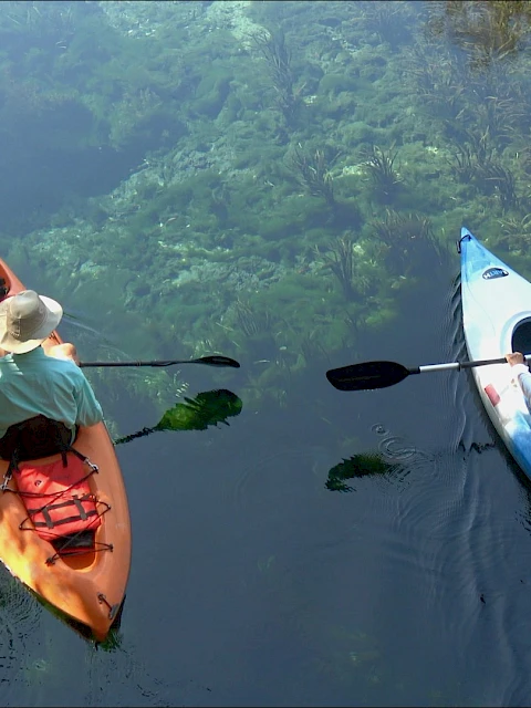 Two people are kayaking on clear water, each in a different colored kayak.